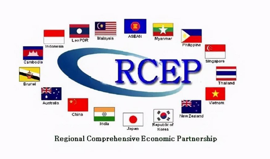RCEP生效一周年 为区域经贸合作注入强劲动力