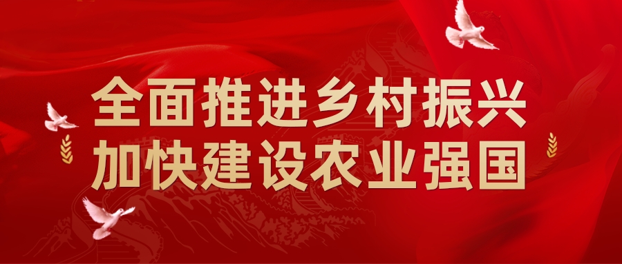 全面推进乡村振兴,加快建设农业强国