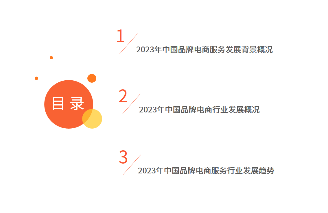 2023年中国品牌电商服务行业研究报告